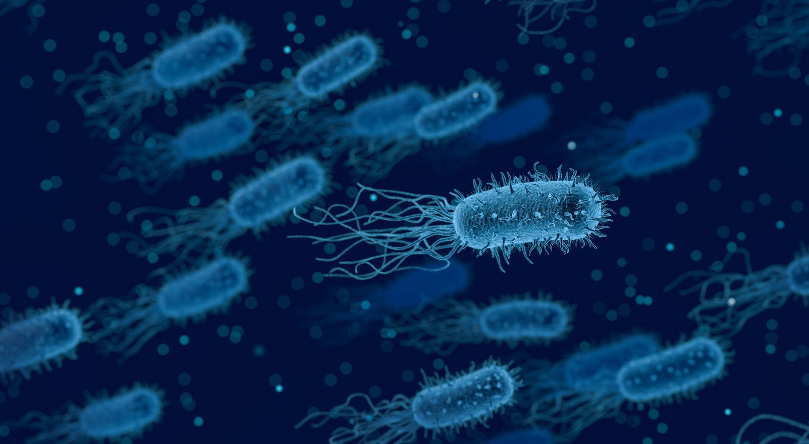 Bakteríur sem tákn fyrir kynsjúkdóma